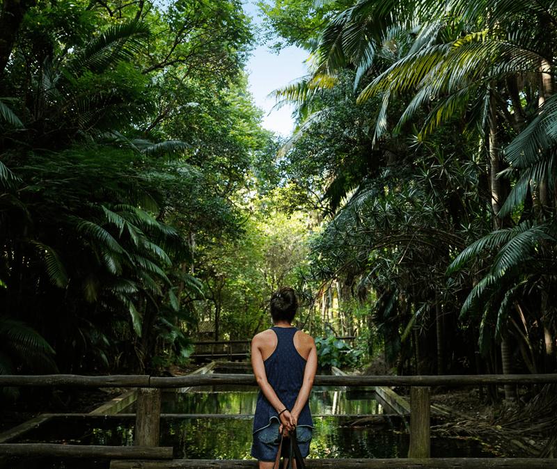 parque-da-agua-branca
