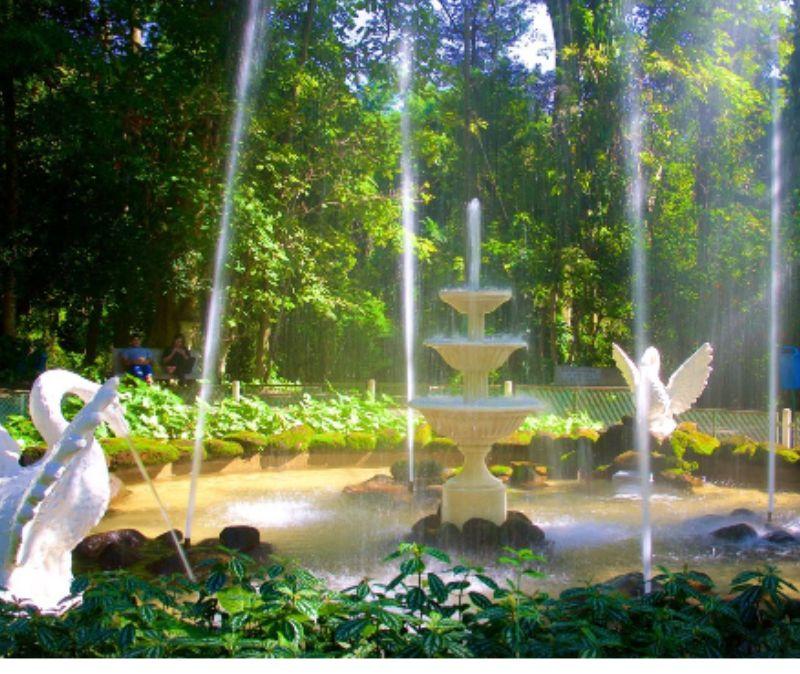 Parque Bosque dos Jequitibás 