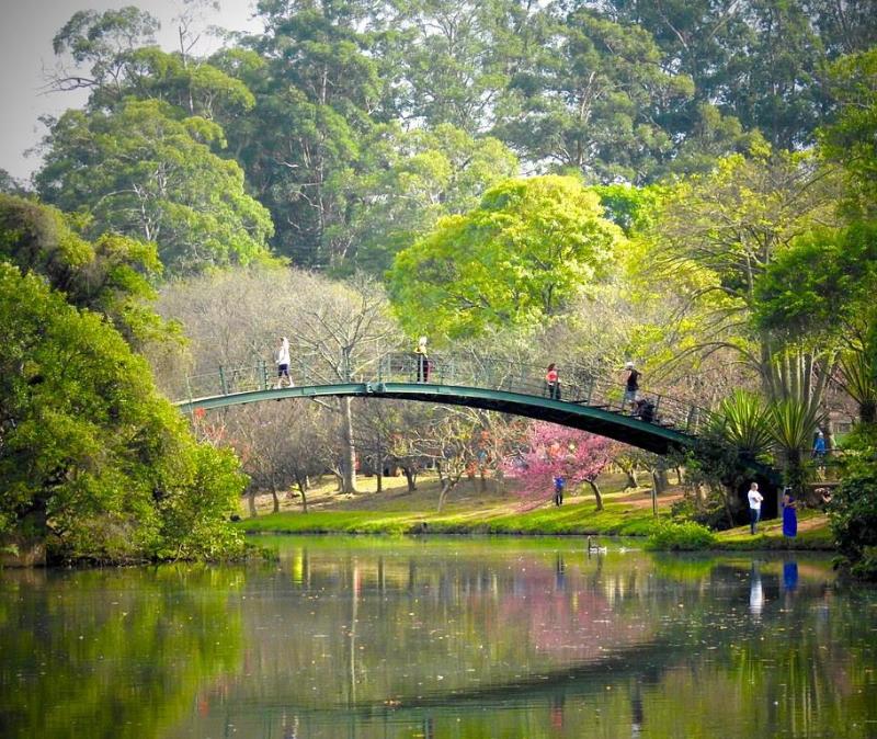 Parque Ibirapuera