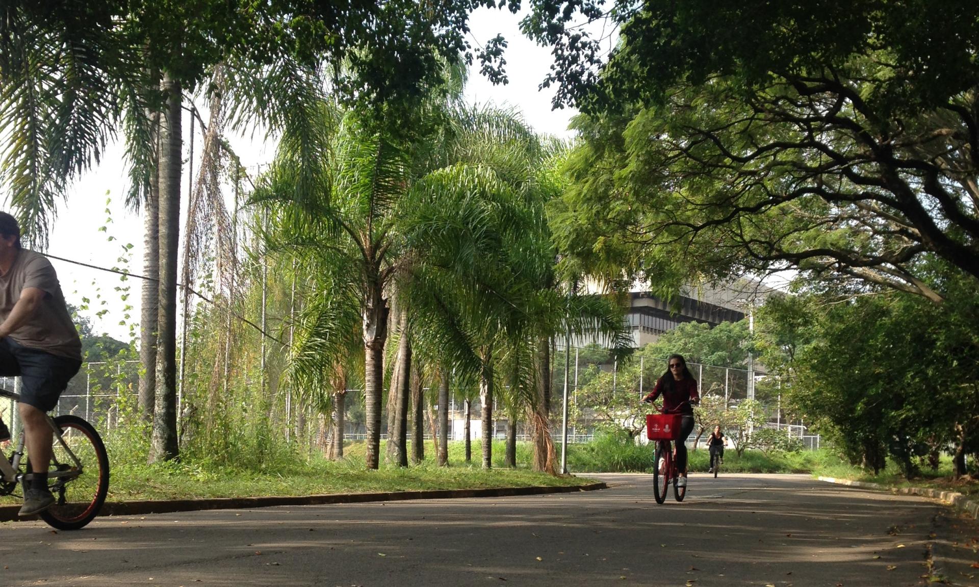parque das bicicletas