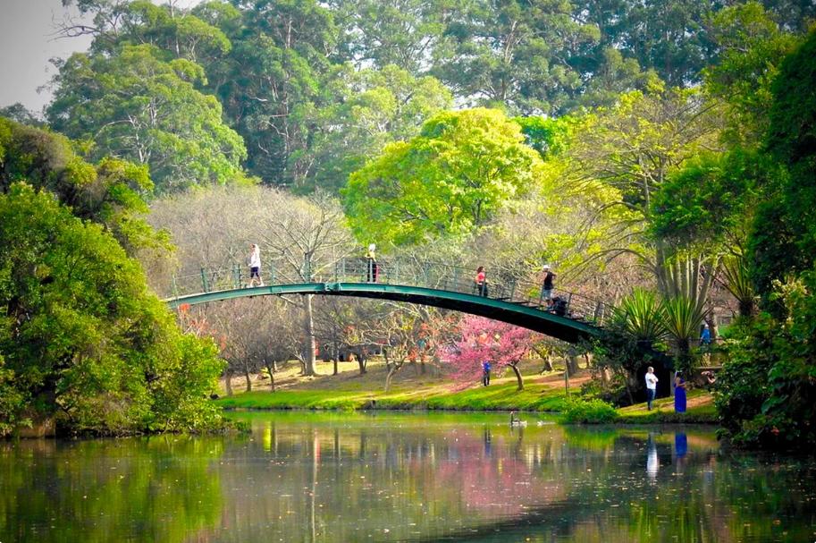 parque-ibirapuera
