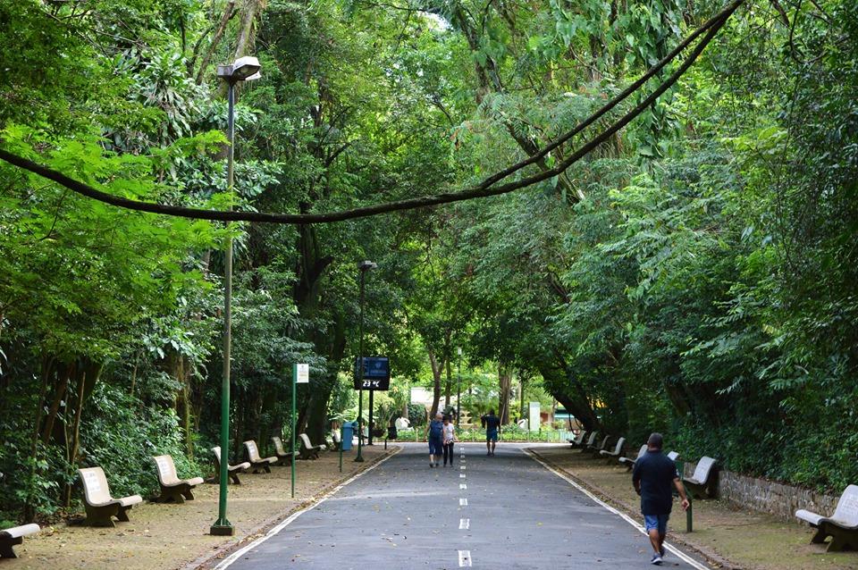 parque-bosque-jequitibas