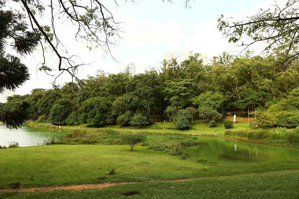 parque-aclimacao