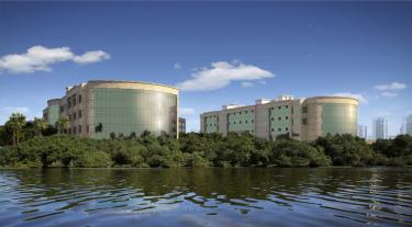 Lead Americas Triumph