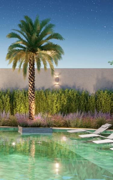 On The Sky Bela Cintra The Apartments