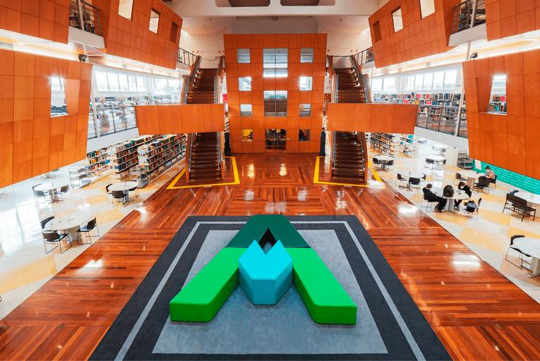 universidade anhembi morumbi