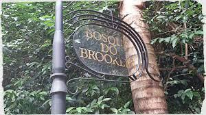 Bosque do Brooklin