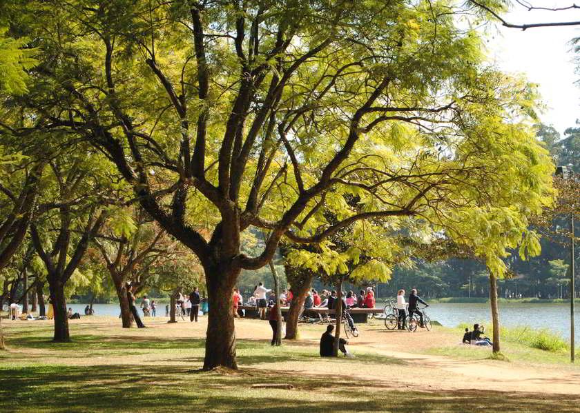 parque-ibirapuera