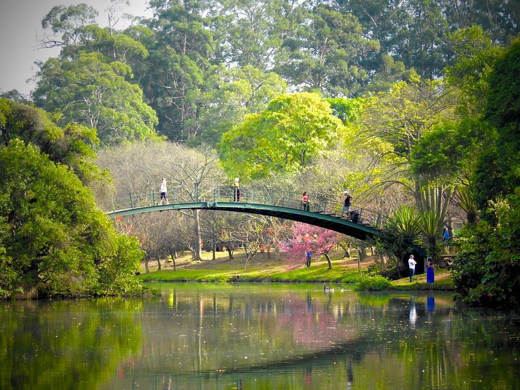 Parque Ibirapuera